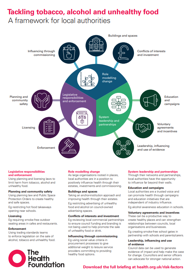 Risk factors framework image