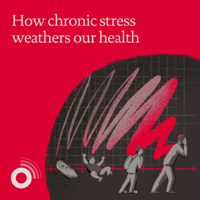 How chronic stress weathers our health